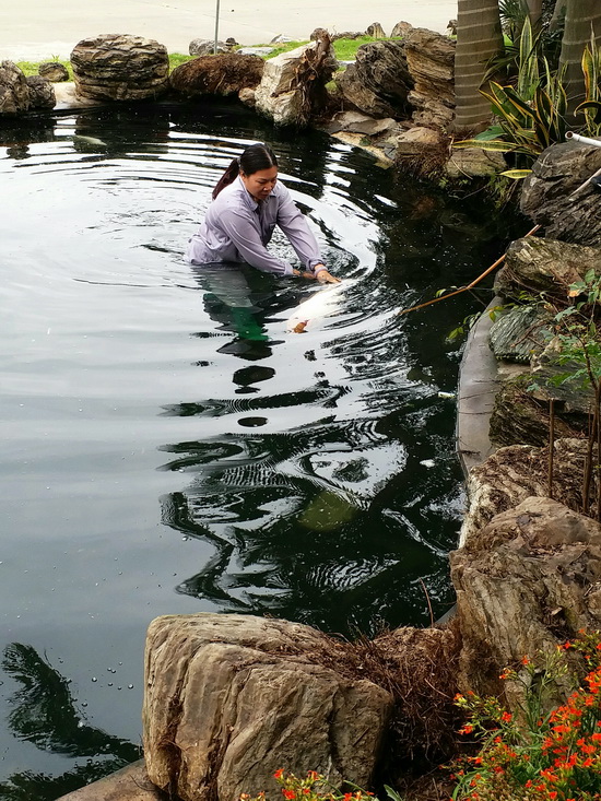 微信图片_20190305104834.jpg